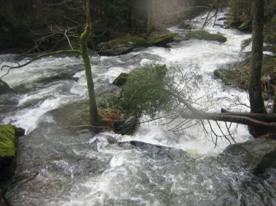 Bärnloch von oben