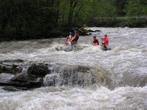 Guki.Waldschlucht am Schw. Cheremosh