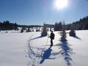 Paradies rund um Buchers